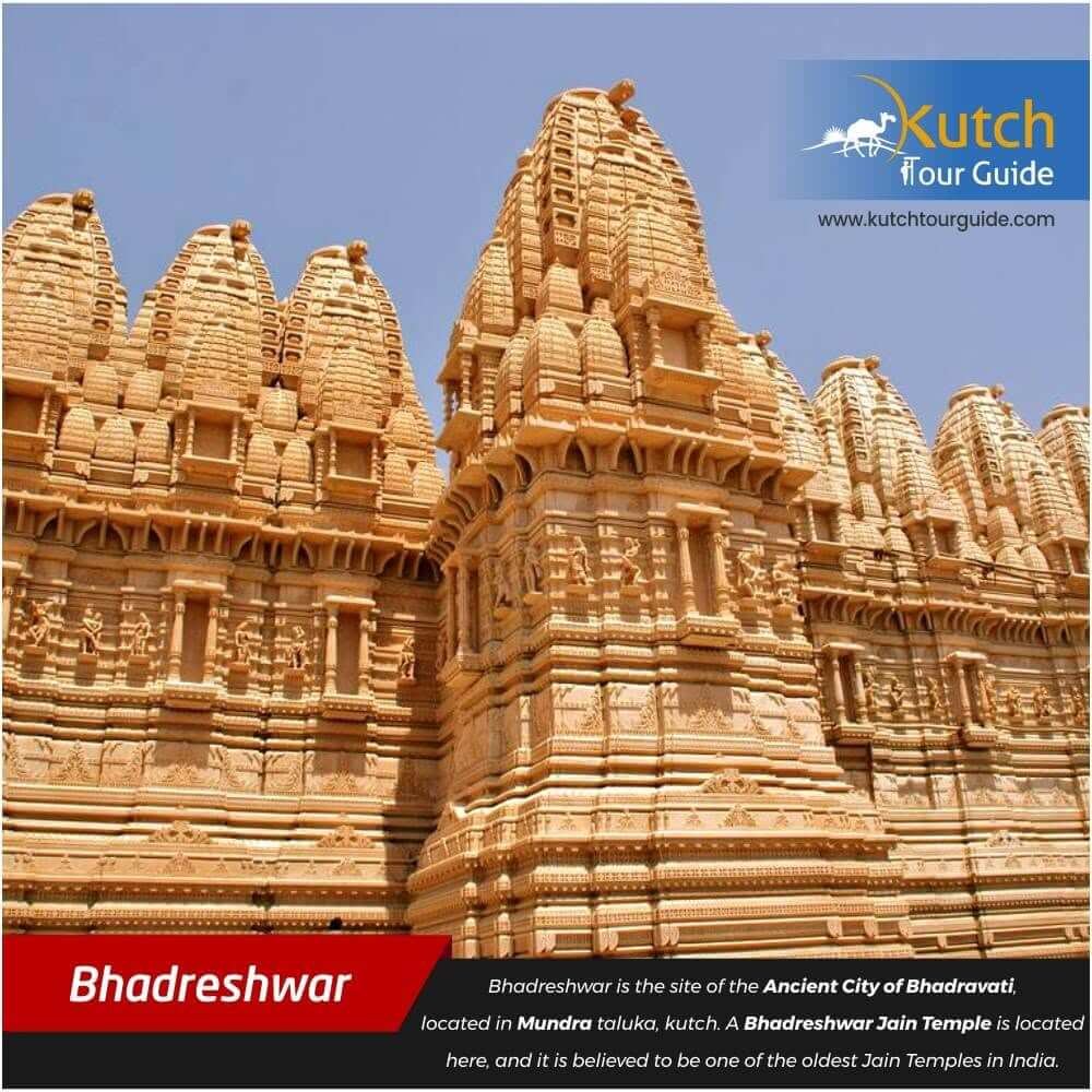 Gujarat gallery photo  12
