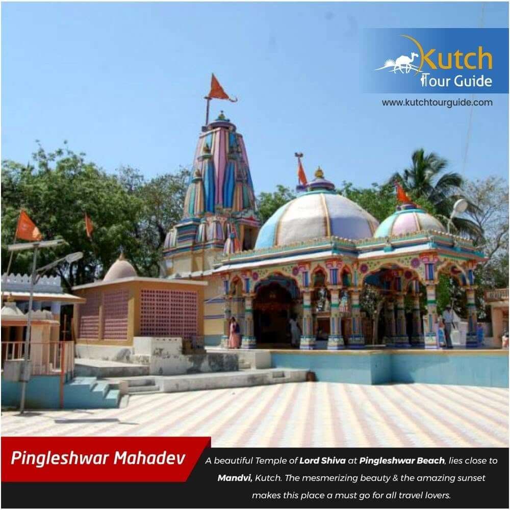 Gujarat gallery photo  16