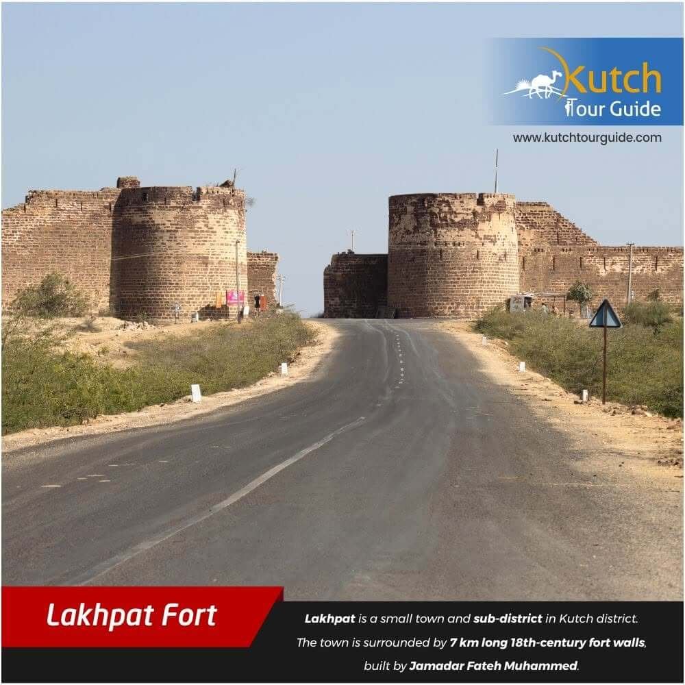 Gujarat gallery photo  8