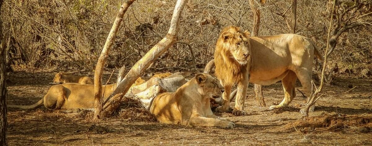 Nature & Wildlife